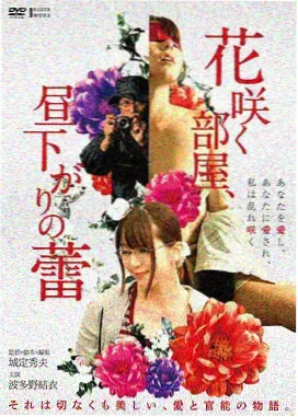 北方以北 国产公路电影在线观看